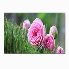 Flowers Postcards 5  X 7  (pkg Of 10) by artworkshop