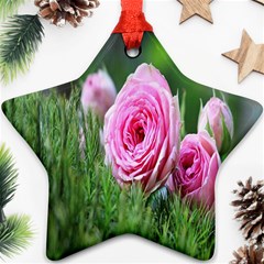 Flowers Star Ornament (two Sides) by artworkshop