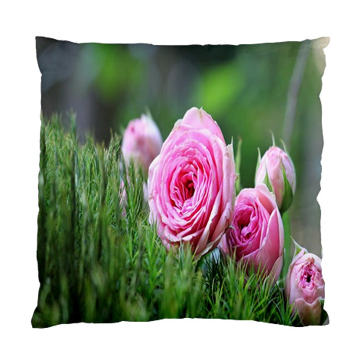 Flowers Standard Cushion Case (One Side)