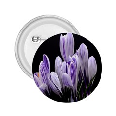 Crocus Flowers Purple Flowers Spring Nature 2 25  Buttons by Ravend