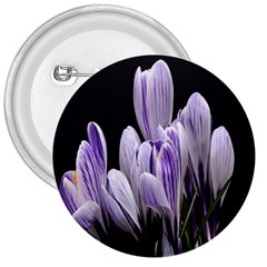 Crocus Flowers Purple Flowers Spring Nature 3  Buttons by Ravend