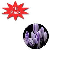 Crocus Flowers Purple Flowers Spring Nature 1  Mini Buttons (10 Pack)  by Ravend