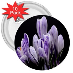 Crocus Flowers Purple Flowers Spring Nature 3  Buttons (10 Pack)  by Ravend