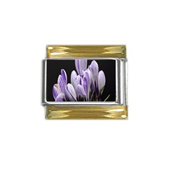 Crocus Flowers Purple Flowers Spring Nature Gold Trim Italian Charm (9mm)