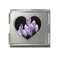 Crocus Flowers Purple Flowers Spring Nature Mega Link Heart Italian Charm (18mm)