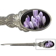 Crocus Flowers Purple Flowers Spring Nature Letter Opener by Ravend