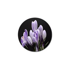 Crocus Flowers Purple Flowers Spring Nature Golf Ball Marker by Ravend