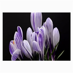 Crocus Flowers Purple Flowers Spring Nature Large Glasses Cloth (2 Sides) by Ravend