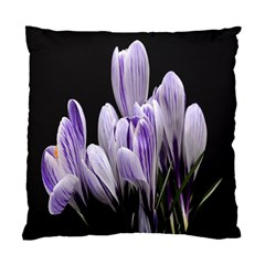 Crocus Flowers Purple Flowers Spring Nature Standard Cushion Case (two Sides) by Ravend