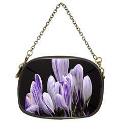 Crocus Flowers Purple Flowers Spring Nature Chain Purse (two Sides) by Ravend