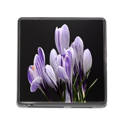 Crocus Flowers Purple Flowers Spring Nature Memory Card Reader (square 5 Slot) by Ravend