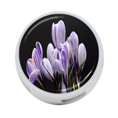 Crocus Flowers Purple Flowers Spring Nature 4-port Usb Hub (one Side) by Ravend