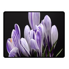 Crocus Flowers Purple Flowers Spring Nature One Side Fleece Blanket (small) by Ravend