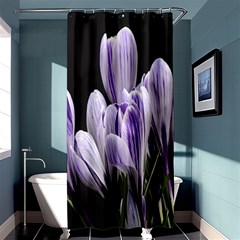 Crocus Flowers Purple Flowers Spring Nature Shower Curtain 36  X 72  (stall)  by Ravend