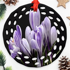 Crocus Flowers Purple Flowers Spring Nature Ornament (round Filigree) by Ravend