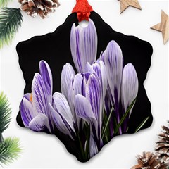 Crocus Flowers Purple Flowers Spring Nature Ornament (snowflake)