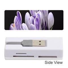 Crocus Flowers Purple Flowers Spring Nature Memory Card Reader (stick) by Ravend