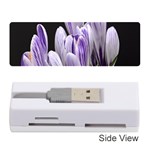 Crocus Flowers Purple Flowers Spring Nature Memory Card Reader (Stick) Front