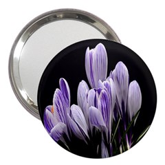 Crocus Flowers Purple Flowers Spring Nature 3  Handbag Mirrors by Ravend