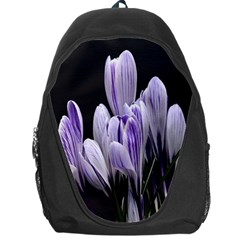 Crocus Flowers Purple Flowers Spring Nature Backpack Bag by Ravend