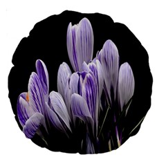 Crocus Flowers Purple Flowers Spring Nature Large 18  Premium Round Cushions by Ravend