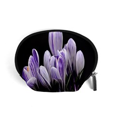 Crocus Flowers Purple Flowers Spring Nature Accessory Pouch (small) by Ravend