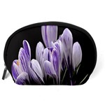 Crocus Flowers Purple Flowers Spring Nature Accessory Pouch (Large) Back