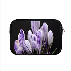 Crocus Flowers Purple Flowers Spring Nature Apple Macbook Pro 15  Zipper Case by Ravend