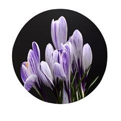 Crocus Flowers Purple Flowers Spring Nature Mini Round Pill Box by Ravend