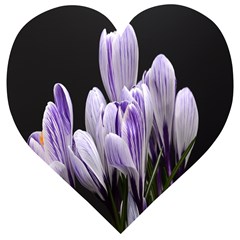 Crocus Flowers Purple Flowers Spring Nature Wooden Puzzle Heart by Ravend