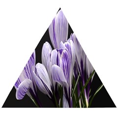 Crocus Flowers Purple Flowers Spring Nature Wooden Puzzle Triangle by Ravend