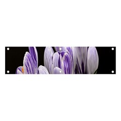 Crocus Flowers Purple Flowers Spring Nature Banner And Sign 4  X 1 