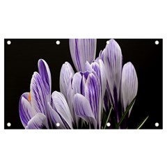 Crocus Flowers Purple Flowers Spring Nature Banner And Sign 7  X 4 