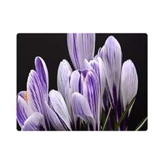 Crocus Flowers Purple Flowers Spring Nature One Side Premium Plush Fleece Blanket (mini) by Ravend