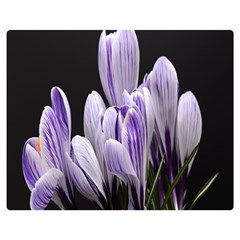 Crocus Flowers Purple Flowers Spring Nature One Side Premium Plush Fleece Blanket (medium)