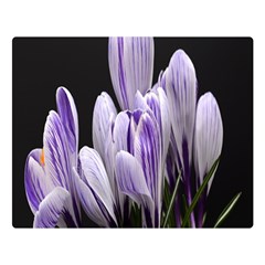 Crocus Flowers Purple Flowers Spring Nature One Side Premium Plush Fleece Blanket (large)