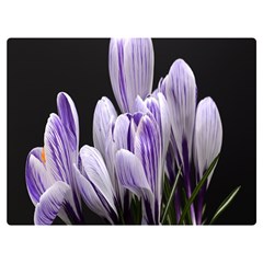 Crocus Flowers Purple Flowers Spring Nature One Side Premium Plush Fleece Blanket (extra Small)