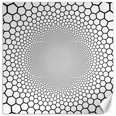 Hexagon Honeycombs Pattern Structure Abstract Canvas 20  X 20  by Ravend