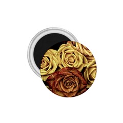 Flowers Roses Plant Bloom Blossom 1 75  Magnets by Ravend