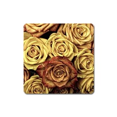 Flowers Roses Plant Bloom Blossom Square Magnet by Ravend