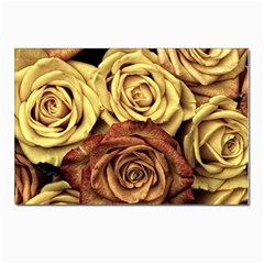 Flowers Roses Plant Bloom Blossom Postcard 4 x 6  (pkg Of 10) by Ravend