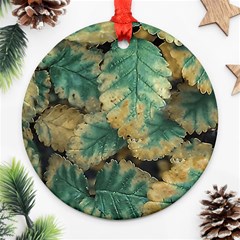 Colored Close Up Plants Leaves Pattern Ornament (round) by dflcprintsclothing