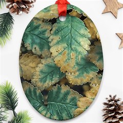 Colored Close Up Plants Leaves Pattern Ornament (oval)