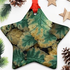 Colored Close Up Plants Leaves Pattern Ornament (star)