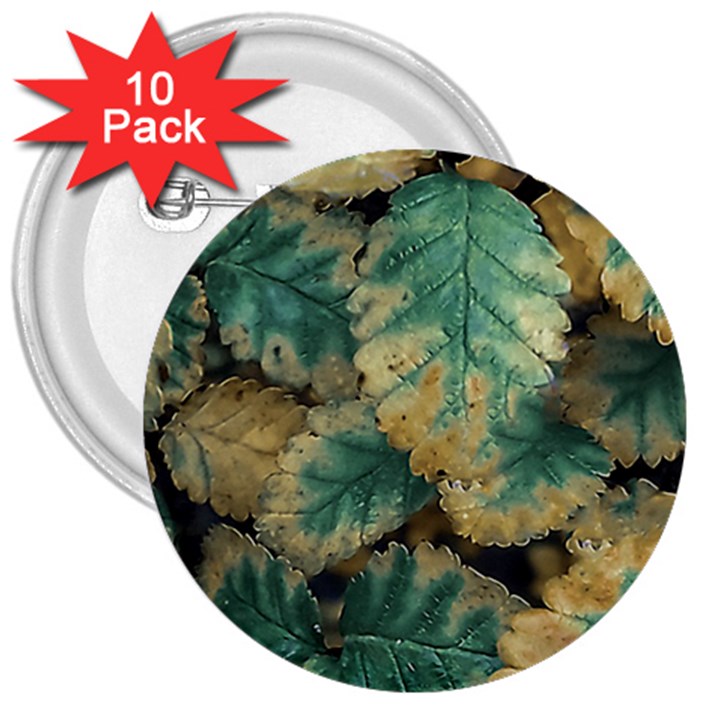 Colored Close Up Plants Leaves Pattern 3  Buttons (10 pack) 