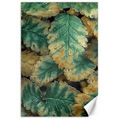 Colored Close Up Plants Leaves Pattern Canvas 24  X 36  by dflcprintsclothing