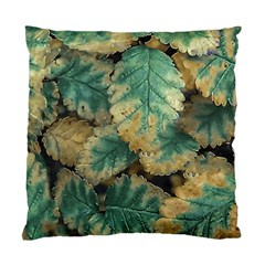 Colored Close Up Plants Leaves Pattern Standard Cushion Case (two Sides) by dflcprintsclothing