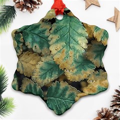 Colored Close Up Plants Leaves Pattern Ornament (snowflake)