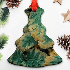 Colored Close Up Plants Leaves Pattern Christmas Tree Ornament (two Sides)