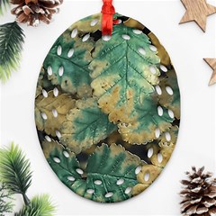 Colored Close Up Plants Leaves Pattern Ornament (oval Filigree)